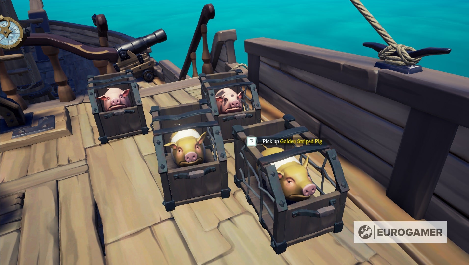 Sea of Thieves chicken, pig and snake locations how to find and catch